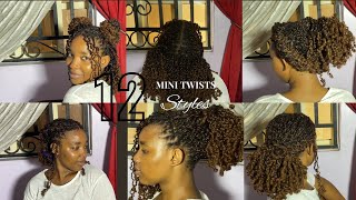 12 Easy Mini Twist Hairstyles for Beginners  Quick amp Simple Natural Hair Styles [upl. by Nnaael]