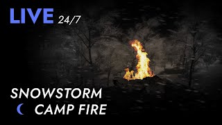 🔴 Campfire in Snowstorm for Sleeping 247  Dimmed Screen  Blizzard Sounds Deep Sleep  Livestream [upl. by Venditti]