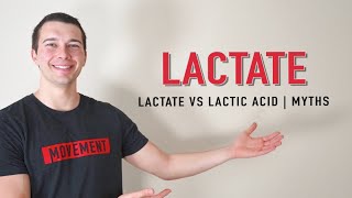 Lactate vs Lactic Acid Explained  Muscle Physiology [upl. by Luehrmann]