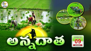 అన్నదాత  9th November 2024  Annadata  Full Bulletin  ETV Andhra Pradesh [upl. by Ecinnahs54]