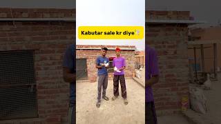 Kabutar sale kr diye🕊️ petlover minivlog pigeonvlogger pigeon kabutar birds sale viralshort [upl. by Harim713]