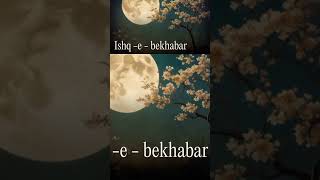 ishq bekhabar music lyrics song ishq dill version lofi love [upl. by Suoirred]