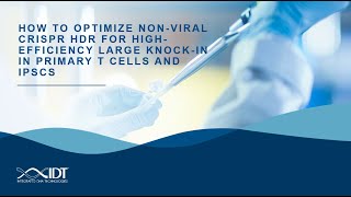 How to optimize nonviral CRISPR HDR for highefficiency large knockin in primary T cells and iPSCs [upl. by Yrreb]