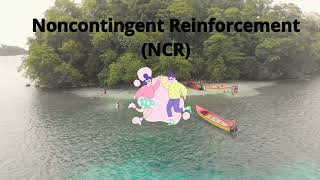 Noncontingent Reinforcement Song NCR ABA Term bcbaexam wwwabastudyjamscom [upl. by Demmy]