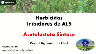 Herbicidas Inibidores de ALS  Aceto Lactato Sintase [upl. by Ful344]