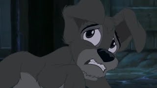 Saving ScampBusters Defeat Scene  Lady and the Tramp 2 Scamps Adventure HD [upl. by Faro]