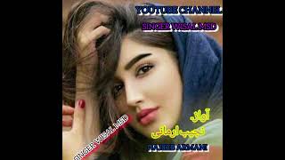 NAJEEB ARMANI SONG 2024 [upl. by Oiceladni]