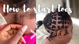 HOW TO START TRADITIONAL LOCKS  INTERLOCKING METHOD  DIY LOCS  DREADLOCKS [upl. by Ottavia810]