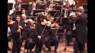 Max Bruch Double Concerto for Clarinet amp Viola 2 mov [upl. by Ingold]