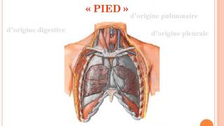 SEMIOLOGIE Douleurs thoraciques [upl. by Adnil]