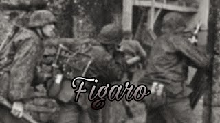 ww2 edit  Figaro [upl. by Grantley825]