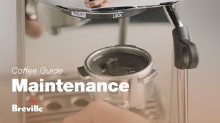 The Bambino® Plus  How to perform a clear water backflush on your espresso machine  Breville USA [upl. by Adrianna810]