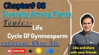 Life cycle of Gymnosperm  Kingdom Plantea by Sher Ali Sir [upl. by Aihsak14]