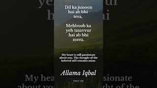 ALLAMA IQBAL POETRY [upl. by March]