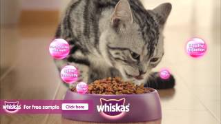 Whiskas Cat Food [upl. by Alon]