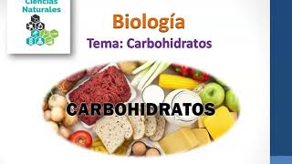 TEMA Carbohidratos  Glucidos [upl. by Johanna]