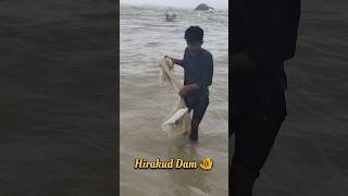 Hirakud Dam fishing video hirakuddam fishing shorts video viralvideo shortsvideo short fish [upl. by Arber429]