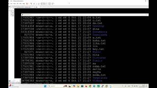 linux command line part 2 [upl. by Hudgens]