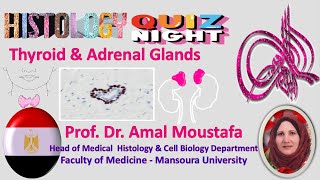 OSPE of MMPM Thyroid and Adrenal Glands Histology Quiz [upl. by Narayan]