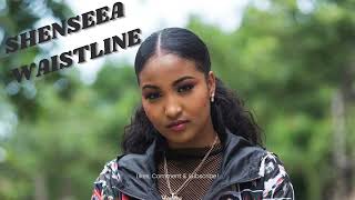 Shenseea  Waistline Lyrics [upl. by Ariella472]