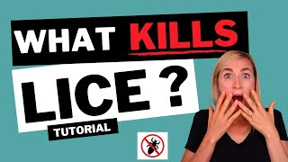 What Kills Lice Tutorial [upl. by Ilahsiav]