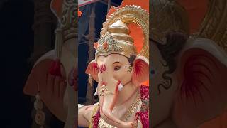 धारावी चा सुखकर्ता २०२४ आगमन सोहळा  ytshorts minivlog ganpatibappamorya dharavichasukhkarta [upl. by Michaeu69]