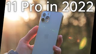 iPhone 11 Pro in 2022  Lohnt es sich noch [upl. by Venn]