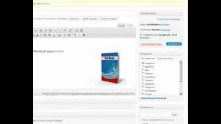 Paypal Button in Wordpress einbinden [upl. by Karyn]