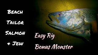 Beach Tailor Salmon amp Jewfish  Favourite Rigs  Bonus Monster [upl. by Orferd]