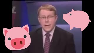 News Reporter can not stop Laughing at Chris P Bacon 🐷 [upl. by Bein59]