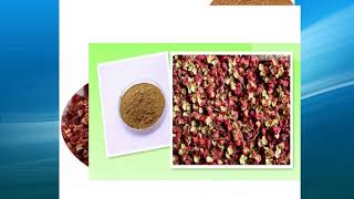 zanthoxylum extract supplierwholesalebulkfactory [upl. by Alyehc311]