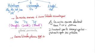 Structure et classification des acides aminés [upl. by Aerdnas]