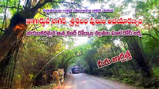 Athmakur to Dornala Nallamala ghat road Journey  Srisailam Ghat Road  Amazing Nallamala Ghat Road [upl. by Johm]