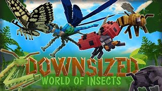 downsized world of the insects mod minecraft [upl. by Inalem]