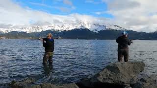 Snagging For Silver Salmon In Seward Alaska Sept 2021 [upl. by Samford]