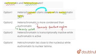 Which of the following is not a difference between euchromatin and heterochromatin [upl. by Danyelle]