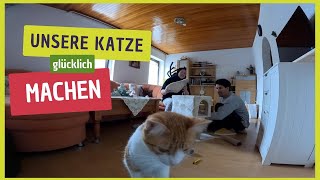 Neuer Katzenkratzbaum Aufbau und erste Eindrücke  Glückliche Katze glückliches Zuhause [upl. by Debby166]