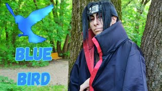 Blue Bird ブルーバード cover par itachi  Version Opening [upl. by Harald]