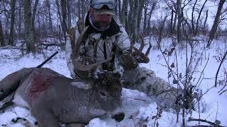 My Most AMAZING Deer Hunting Video EVER 2021 Whitetail Hunt [upl. by Ahsenar]