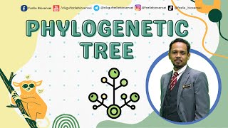 BIOLOGY KSSM FORM 5  PHYLOGENETIC TREE [upl. by Menides]