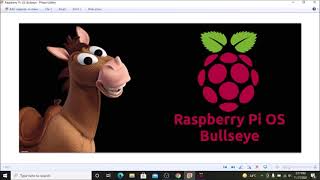 raspbian os bullseye  raspberry pi bullseyesshwifivnc  raspberry pi 4 setup [upl. by Linden]