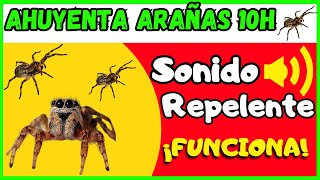 SONIDO PARA AHUYENTAR ARAÑAS 10 H 🕷️ [upl. by Trubow]