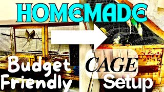 DIY Budgie Paradise Our Handmade BudgetFriendly Cage Setup” [upl. by Sairahcaz26]