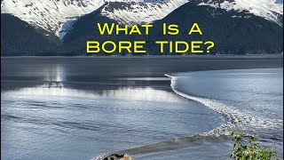 What is a Bore Tide The Alaskan Bore Tide Phenomenon [upl. by Balac324]