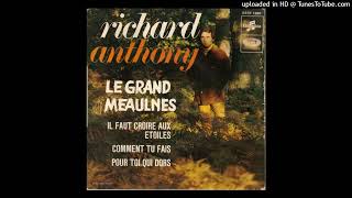 Richard Anthony  Le Grand Meaulnes [upl. by Keavy455]