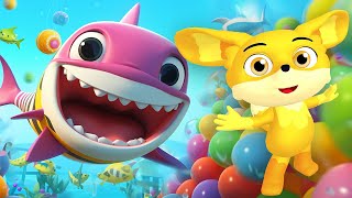 Baby Shark  English Songs for Kids  Cocomelon [upl. by Melamie]