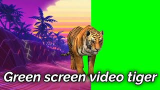 tiger green screen effect  green screen Tiger  green screen video rayicon greenscreen [upl. by Floeter34]