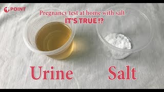 Pregnancy Test At Home  Home Pregnancy Test With Salt  Its True [upl. by Yrffej]