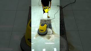 Testing Famous Carpet Cleaning Tips – Do They Really Workquot [upl. by Eromle357]