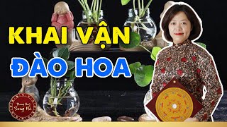 Phong thủy đặt bình hoa trong không gian sống giúp KHAI VẬN ĐÀO HOA  Phong Thủy Song Hà Official [upl. by Fronia785]